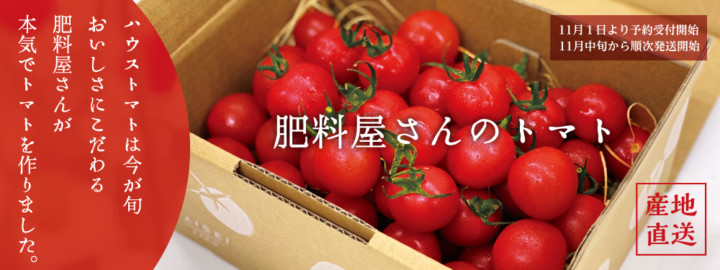 肥料屋さんが本気出して作った広島の美味しいトマトです。