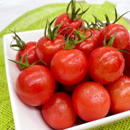 肥料屋さんのトマト
