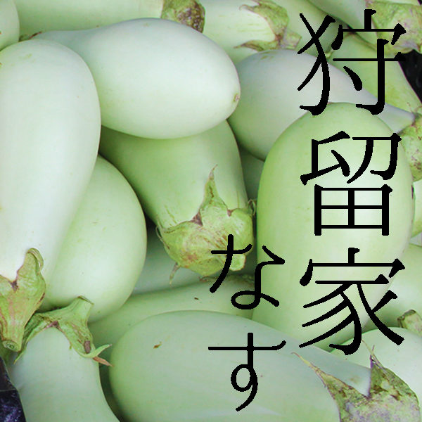 広島ブランド野菜 緑色のなす 狩留家なす