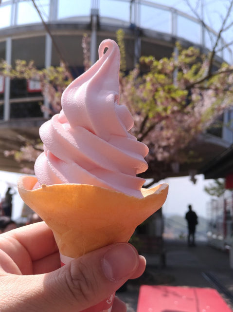 千光寺公園の桜の前でさくらソフトクリームを食べる