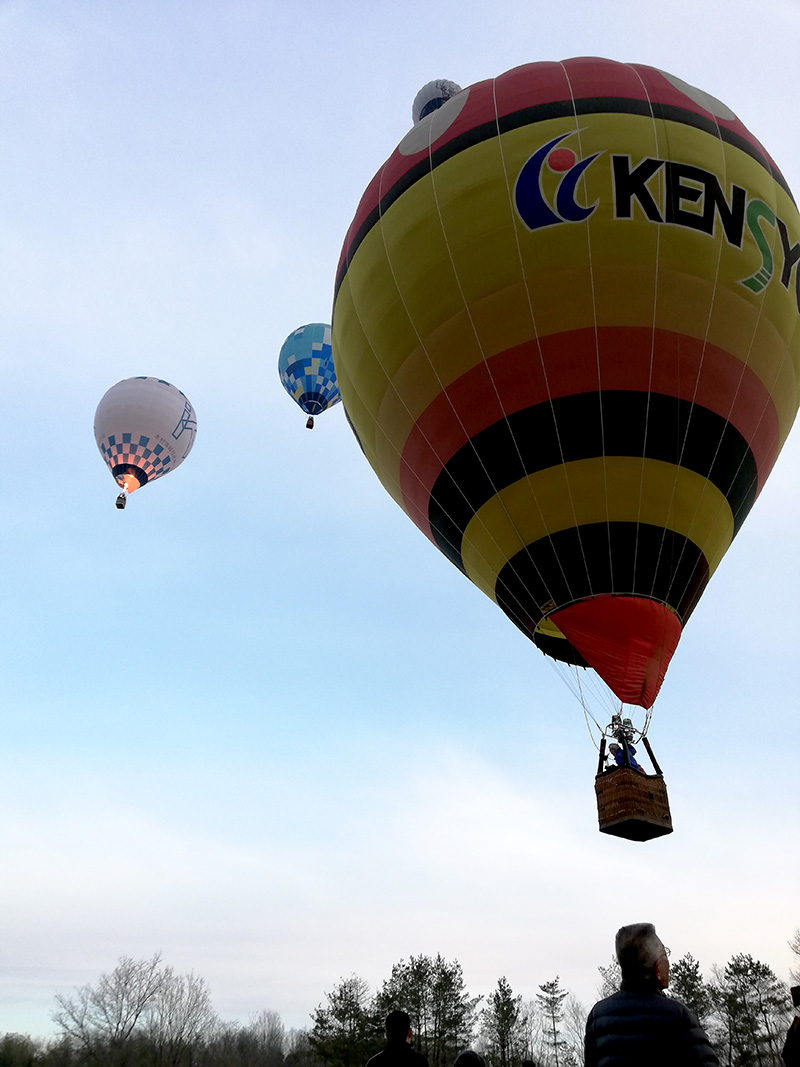 みよしバルーンミーティング2019の熱気球たち