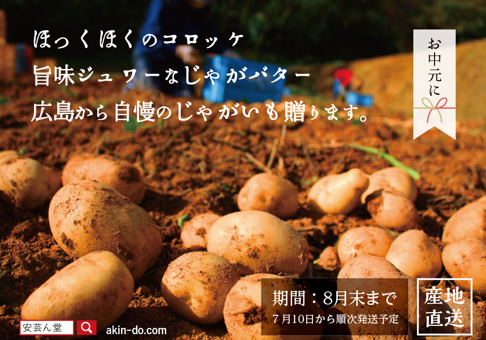 お中元 御中元 夏ギフト 送料込み 広島県産 安芸津町 赤土じゃがいも あきつ美人 約10kg 第一ネット お中元 御中元 夏ギフト 送料込み 広島県産 安芸津町 赤土じゃがいも あきつ美人 約10kg 第一ネット
